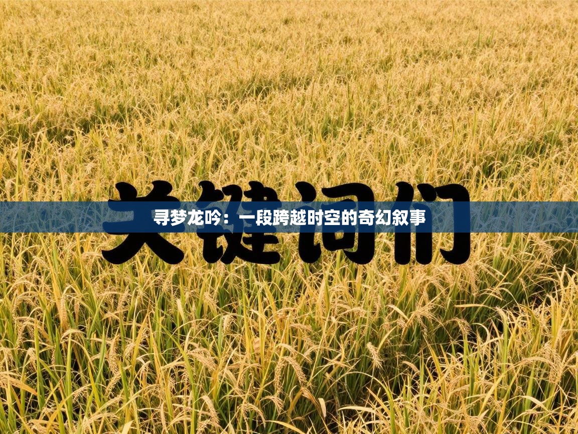 寻梦龙吟:一段跨越时空的奇幻叙事 第2张