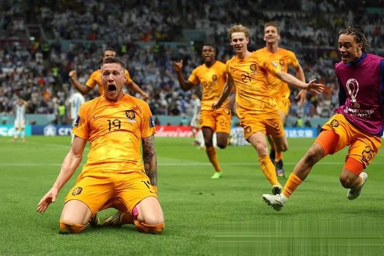 荷兰遭遇波兰,欧洲杯资格前景一片未卜的简单介绍 荷兰遭遇波兰,欧洲杯资格前景一片未卜的简单介绍